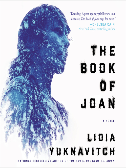 Cover image for The Book of Joan